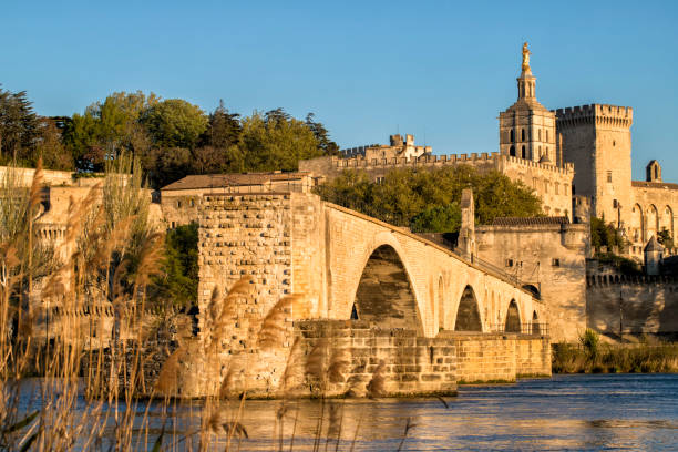 istock Avignon, French 1178838866