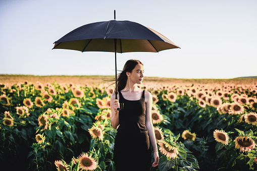 Female In Dark Dress Standing With Umbrella In Sunflower Field To Get Shielded From The Sun