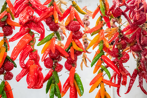 Espelette chilli peppers drying, colorful peppers