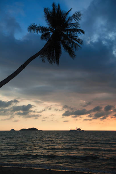 istock Palm tree on a tropical sea beach during amazing sunset. 1178839415