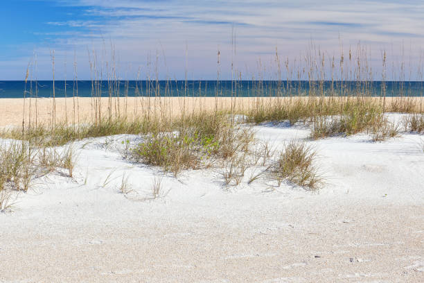 istock Scenic Beach near St. Augustine, Florida 1178840535