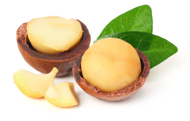 istock Macadamia nut with pieces and green leaves isolated on a white background 1178841285