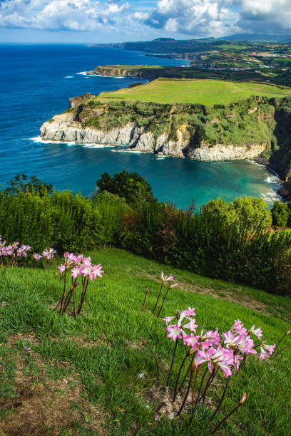 breathtaking view of coastline from Santa Iria viewpoint on the Island of Sao Miguel, Azores, Portugal spectacular rough cliffs at the northern coast of Sao Miguel acores stock pictures, royalty-free photos & images