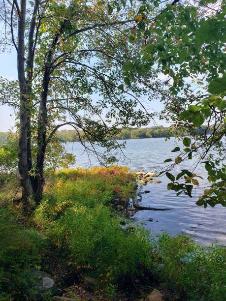 istock Rockland County Park Trees and Lake 1178855415