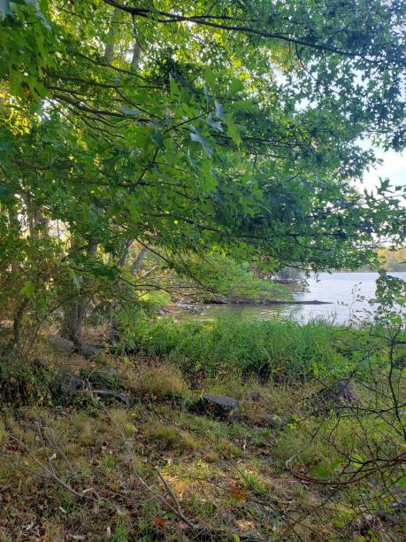 istock Rockland County Park Trees and Lake 1178855423