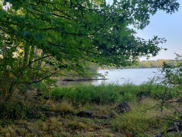istock Rockland County Park Trees and Lake 1178855424