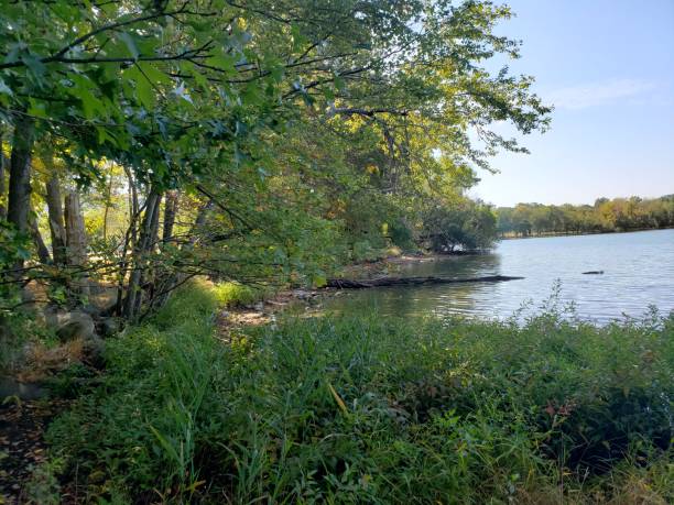 istock Rockland County Park Trees and Lake 1178855428