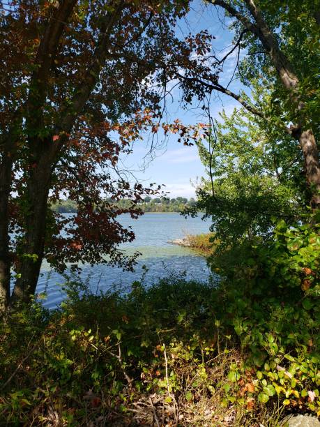 istock Rockland County Park Trees and Lake 1178855441