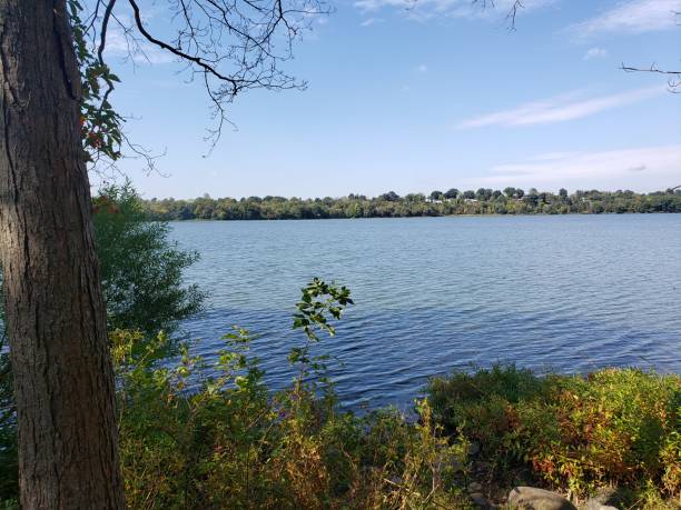 istock Rockland County Park Trees and Lake 1178855442