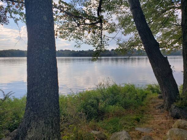 istock Rockland County Park Trees and Lake 1178855459