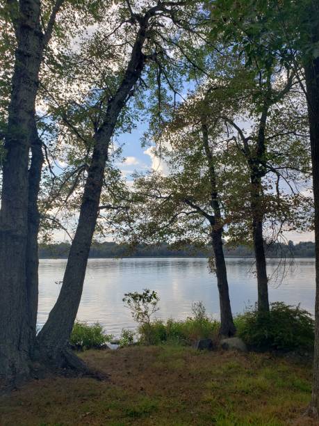 istock Rockland County Park Trees and Lake 1178855460