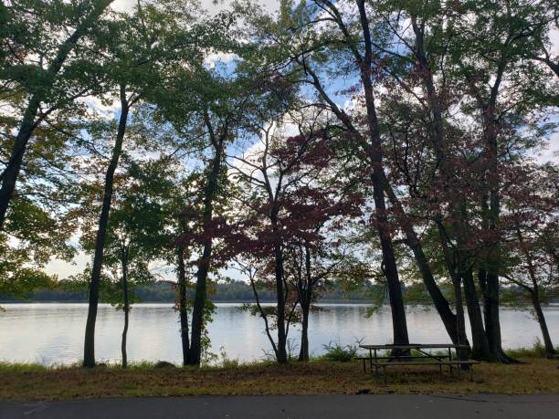 istock Rockland County Park Trees and Lake 1178855462