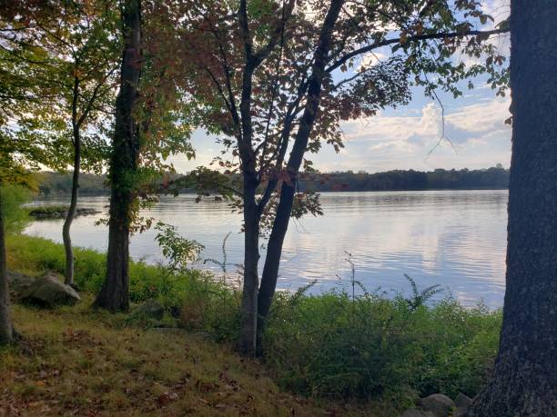 istock Rockland County Park Trees and Lake 1178855465