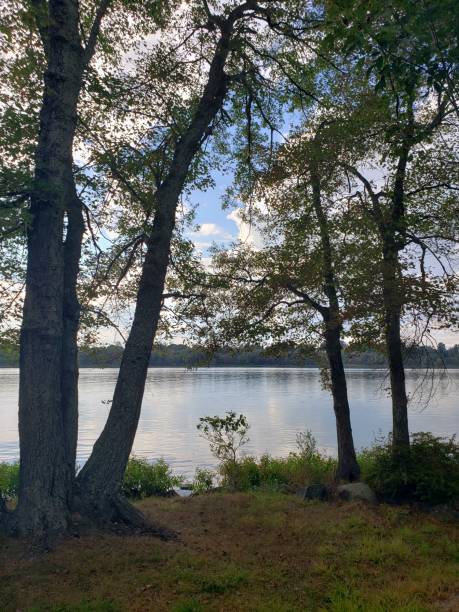 istock Rockland County Park Trees and Lake 1178855467