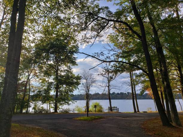 istock Rockland County Park Trees and Lake 1178855471