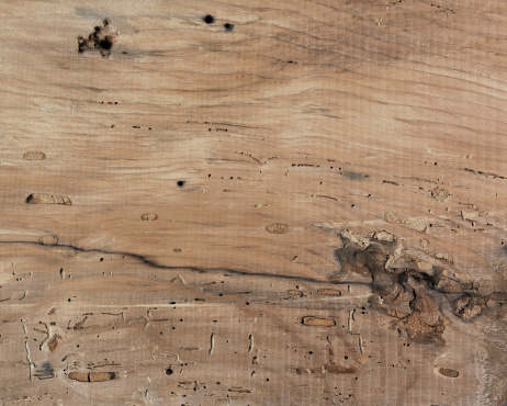 Detail of old wooden planks wall background
