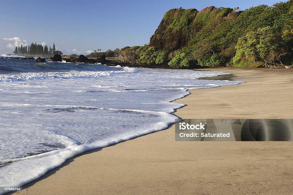 Пустой тропический пляж в утреннем солнце - Стоковые фото Пляж роялти-фри
