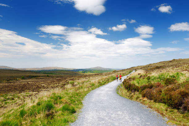 Beautiful view of Connemara National Park, famous for bogs and heaths, watched over by its cone-shaped mountain, Diamond Hill, County Galway, Ireland