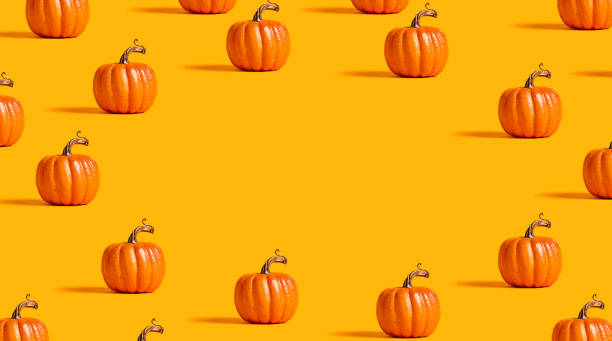 Autumn orange pumpkins