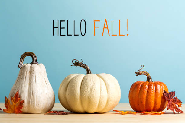 Hello fall message with pumpkins stock photo