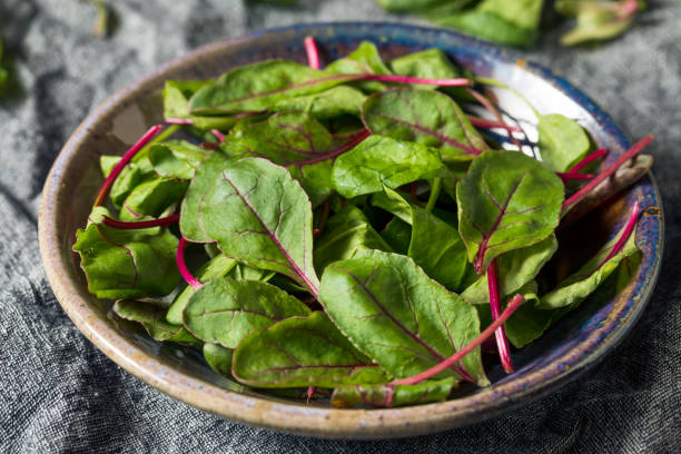 verde verde verde bebé verde - beet green fotografías e imágenes de stock