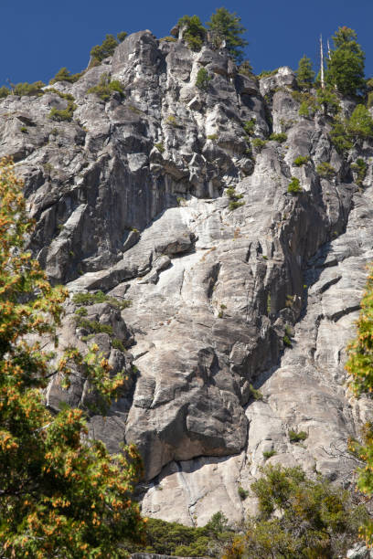 istock Granite formations and natural growth in Yosemite 1178865871
