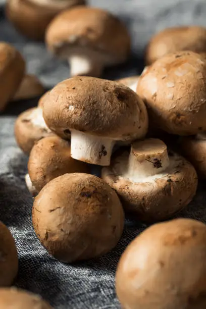 Raw Organic Baby Bella Mushrooms Ready to Cook