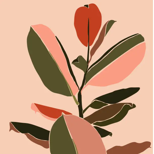 Vector illustration of Tropical ficus leaves in a minimalist trendy style. Silhouette of a plant in a contemporary simple abstract Vector