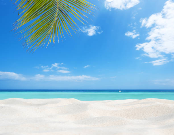 istock Empty sandy beach and sea with clear sky background 1178869164