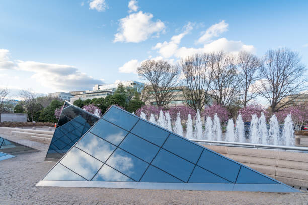 der platz der national gallery of art während des national cherry blossom festival in washington dc, usa - us national gallery of art washington dc fountain architecture stock-fotos und bilder