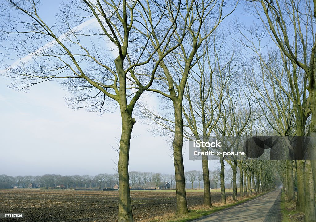 countryroad - Foto de stock de Agricultura libre de derechos