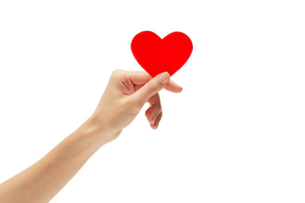 istock Hand holding small bright red heart on white background, Valentine's day concept 1178879358