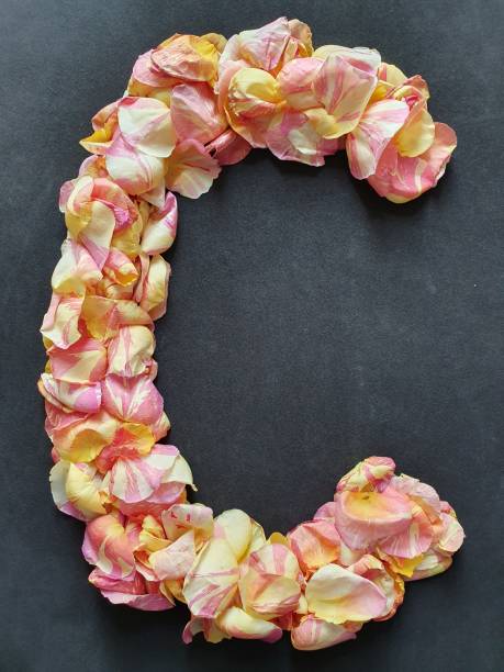 istock rose petals flower forming the letter C 1178887109