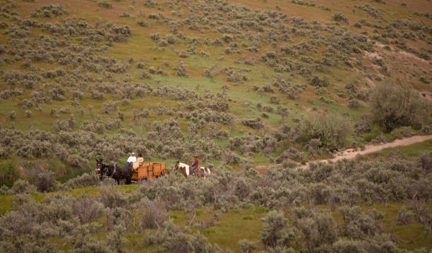 istock Horse carriage Utah 1178887127