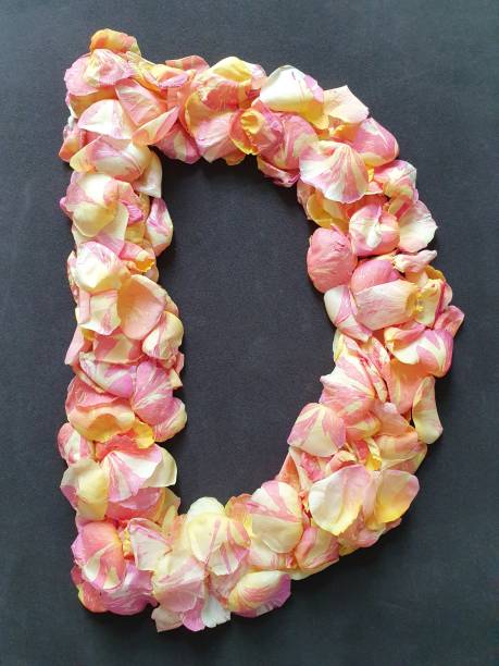 istock rose petals flower forming the letter D 1178887136