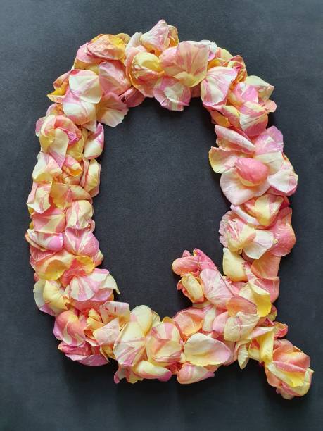 istock rose petals flower forming the letter Q 1178887161