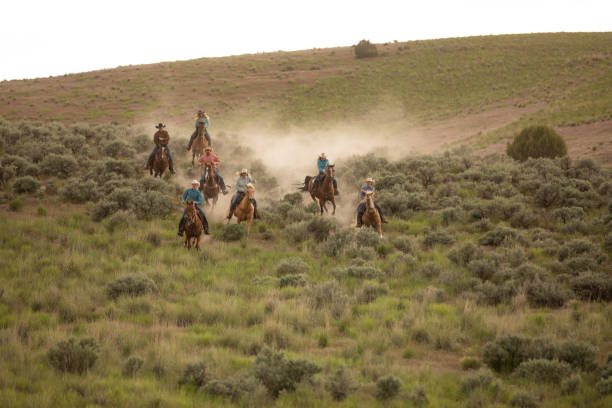 istock Cowboy Ranchers on horses in Utah, USA 1178887306