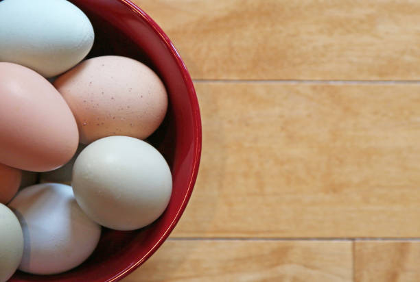 istock Colorful farm fresh organic eggs from backyard chickens in red bowl with copy space 1178887341