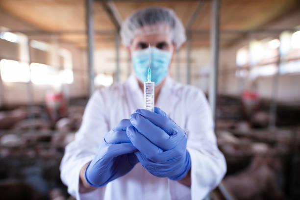 istock Veterinarian with syringe and needle. 1178889089