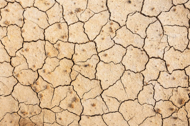 istock Brown dry soil or cracked ground texture background. 1178889284