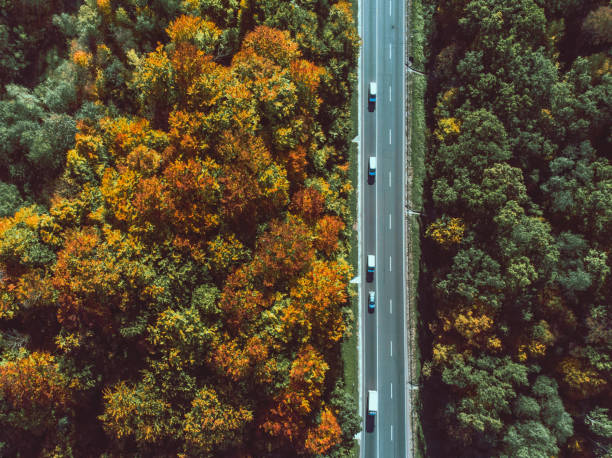 istock aerial view of autumn highway in forest copy space 1178891278