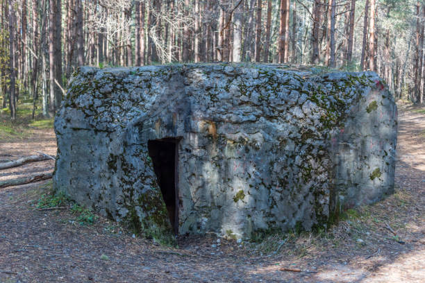 istock World War 2 Pill Box Bunker in a Forest in Latvia 1178892640