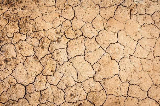 istock Brown dry soil or cracked ground texture background. 1178892903