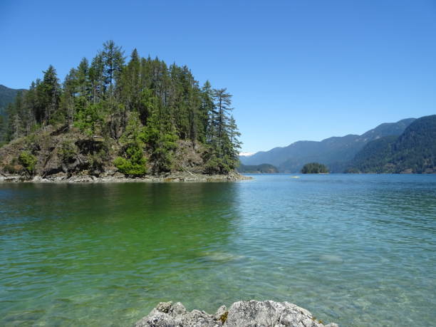 istock Jug Island, Vancouver 1178893853
