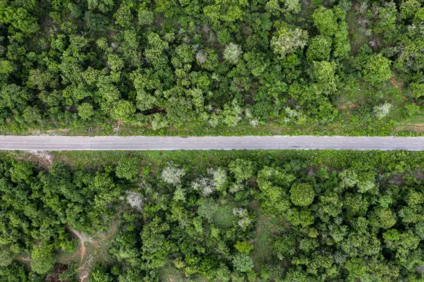 Top view Scenery of straight asphalt road in tropical rainforest