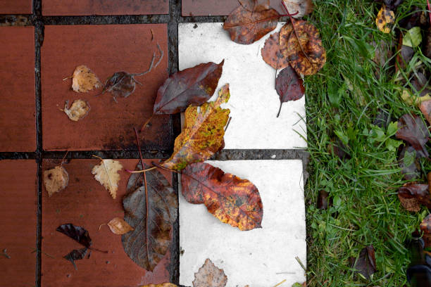 istock Autumn leaves on the tiled floor 1178895125