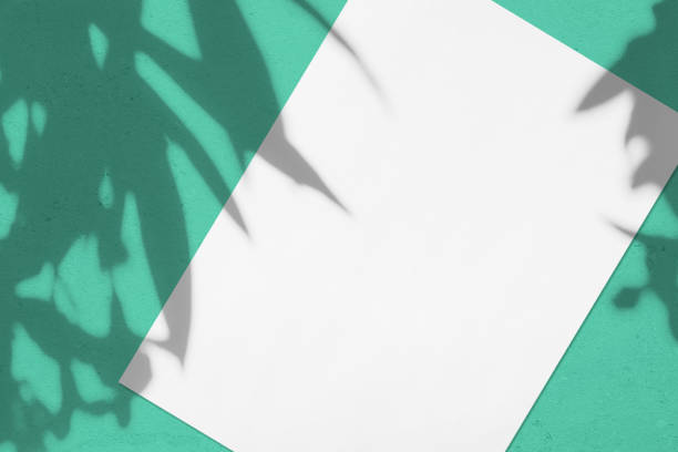 istock Empty white vertical rectangle poster or card mockup with oleander leaves and flowers shadows 1178896505