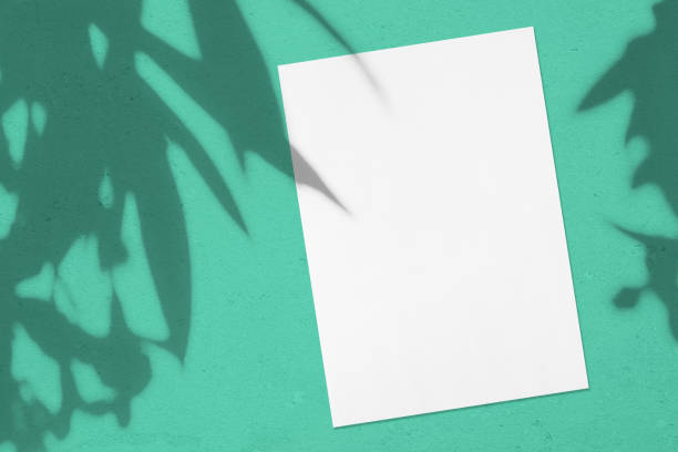 istock Empty white vertical rectangle poster or card mockup with oleander leaves and flowers shadows 1178896506