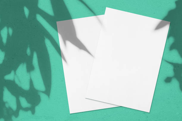 istock Two empty vertical rectangle poster or card mockups with oleander leaves and flowers shadows 1178896507