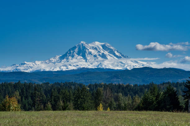 istock Mount Rainier On Bright Sunny Day 1178899327